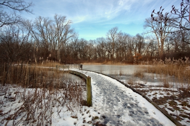 Ojibway Park Winter - Boardwalk View