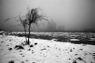 Winter Solitude