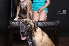 Windsor Pet Photographer - Dogs - Phoenix and Fawks