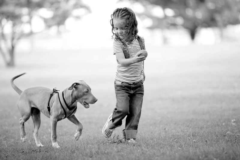 A Girl's Best Friend