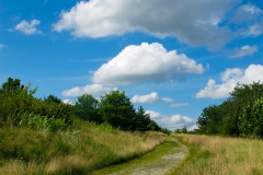 Malden Park Trail