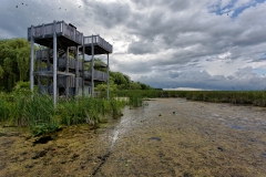 Point Pelee Marsh Boardwalk Viewing Tower #2