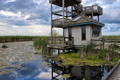 Point Pelee Marsh Boardwalk Viewing Tower